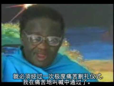 地球史上最震撼的访谈-来自非洲的科瑞多穆特瓦Credo Mutwa 与大卫艾克David Icke(完整版)complete version