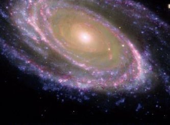 Selected by Extraterrestrials 被外星人选中