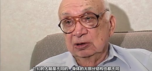 corso interview bilibili cover